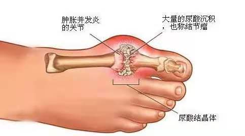 微信图片_20201120095308.jpg